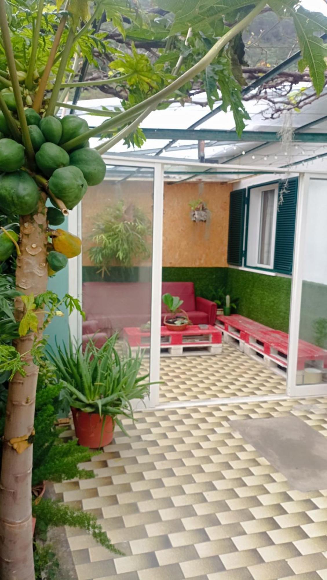 Kanela Guest House Machico  Exterior photo