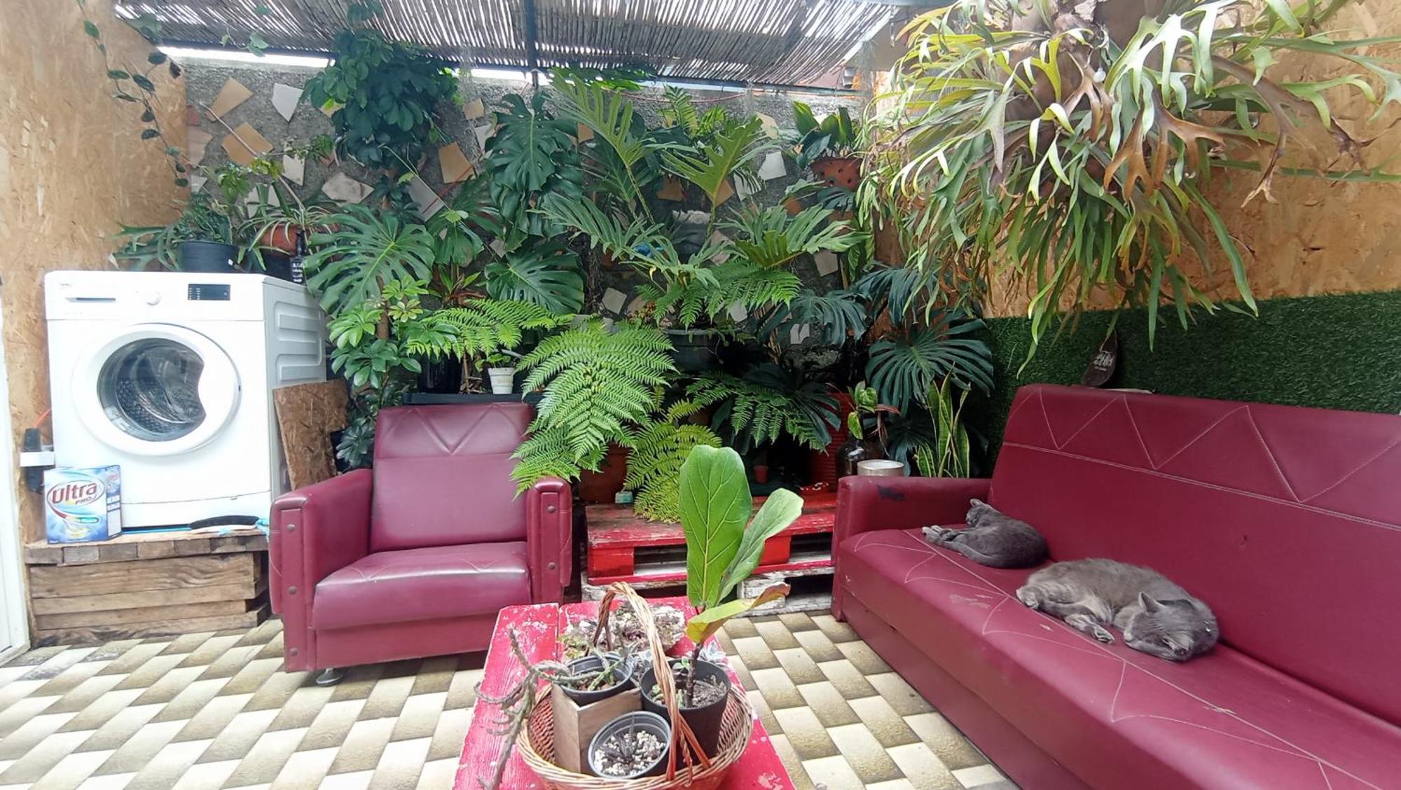 Kanela Guest House Machico  Exterior photo